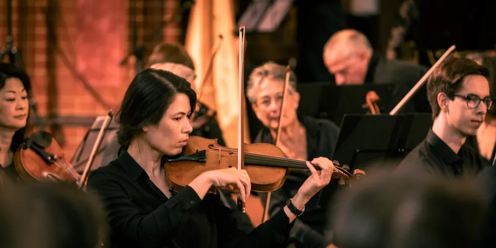 Mehrere Menschen spielen Streichinstruemnte im Orchester