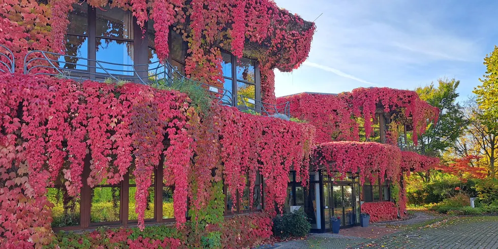 Dienstgebäude des Pflanzenschutzamtes Berlin im Herbst