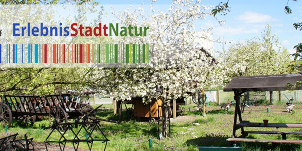 Streuobstwiese Dorf Marzahn