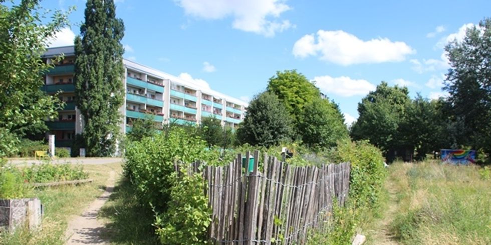 Schulgarten