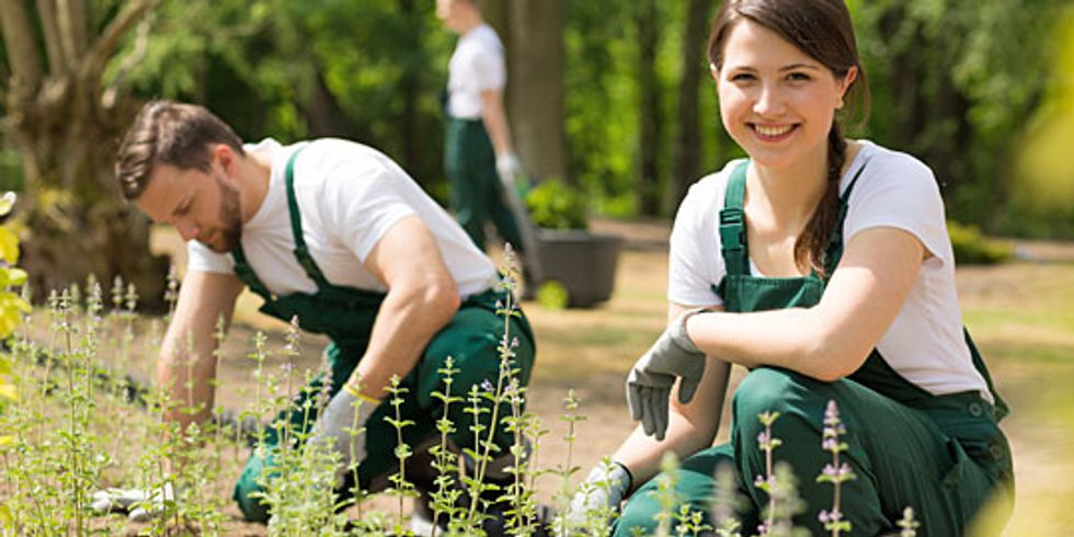 Berufsbildung-landwirtschaft-intro
