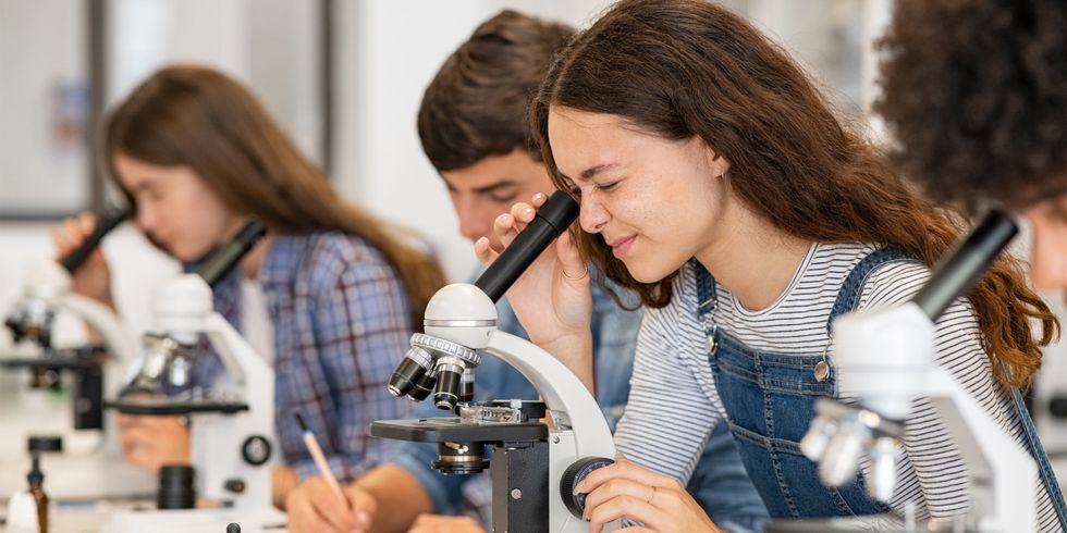 Klasse im Biologieunterricht, arbeit mit dem Mikroskop