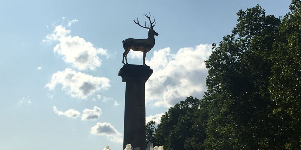 Hirschrbunnenstatue im Park