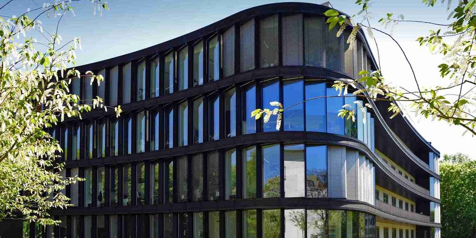 Campus Buch