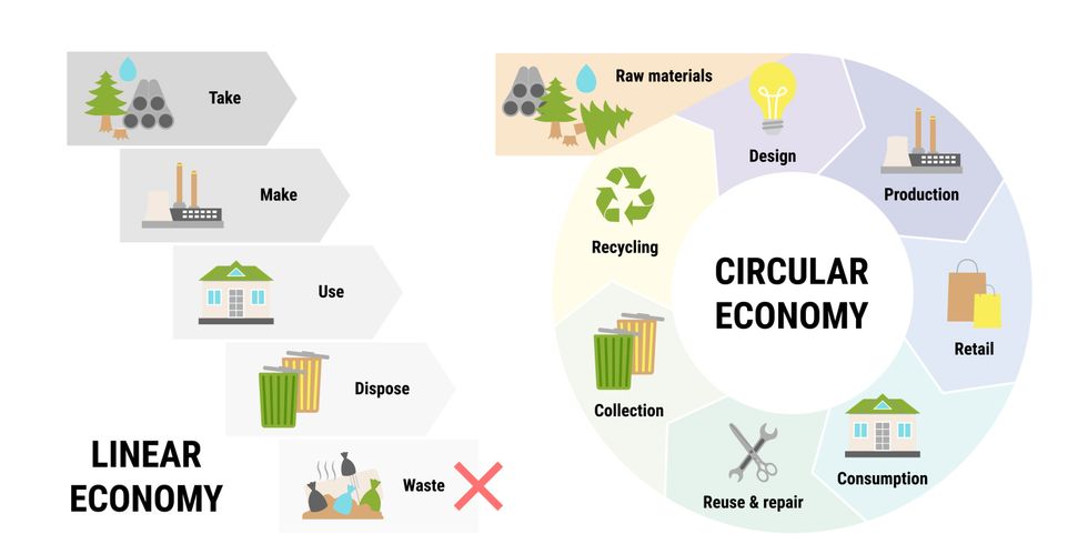 Comparison of linear and circular economy infographic. Sustainable business model. Scheme of product life cycle from raw material to production, using, recycling instead of waste. Flat vector