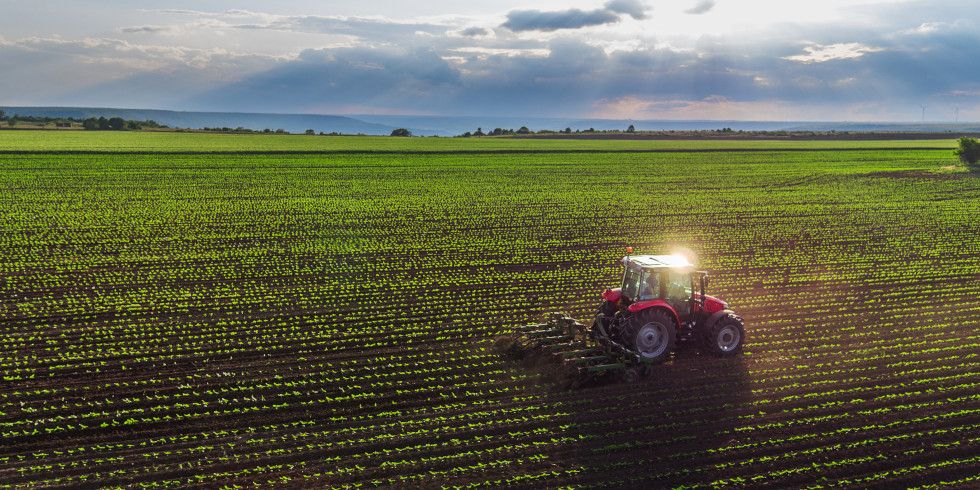 Traktor pflügt ein Feld