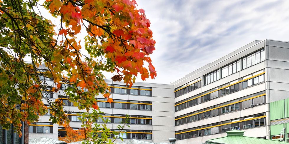 PV-Anlage auf dem Krankenhausdach des EWK