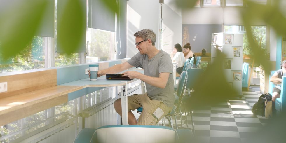 Menschen lesen in der Bibliothek. Der Raum ist sonnig, einladend und gefüllt mit grünen Pflanzen.