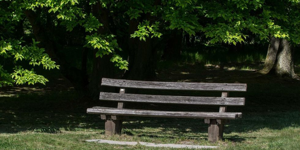 Bank im park