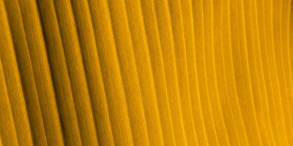 TN_texture