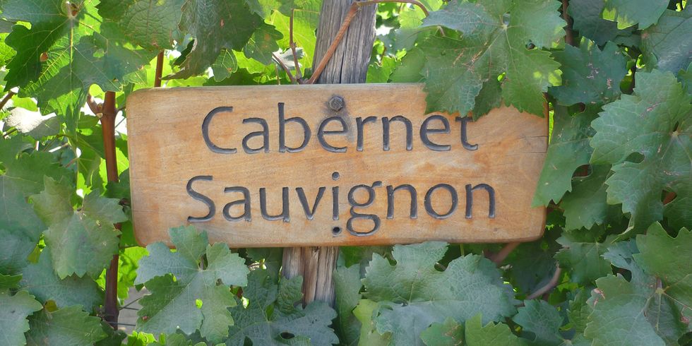Holzschild mit Weinlaub
