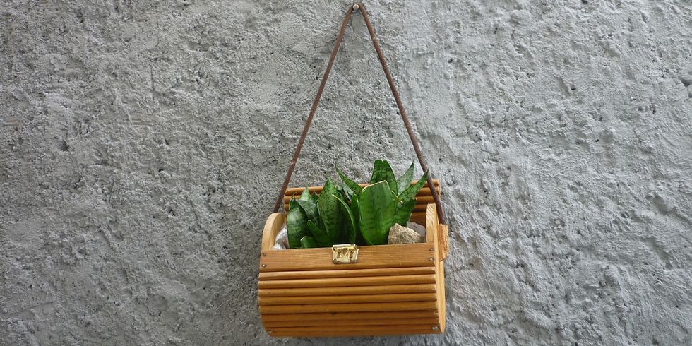 Blumenkasten an Hauswand