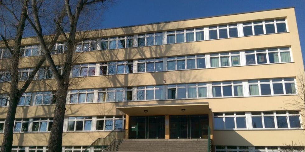 Sonnenblumen Grundschule