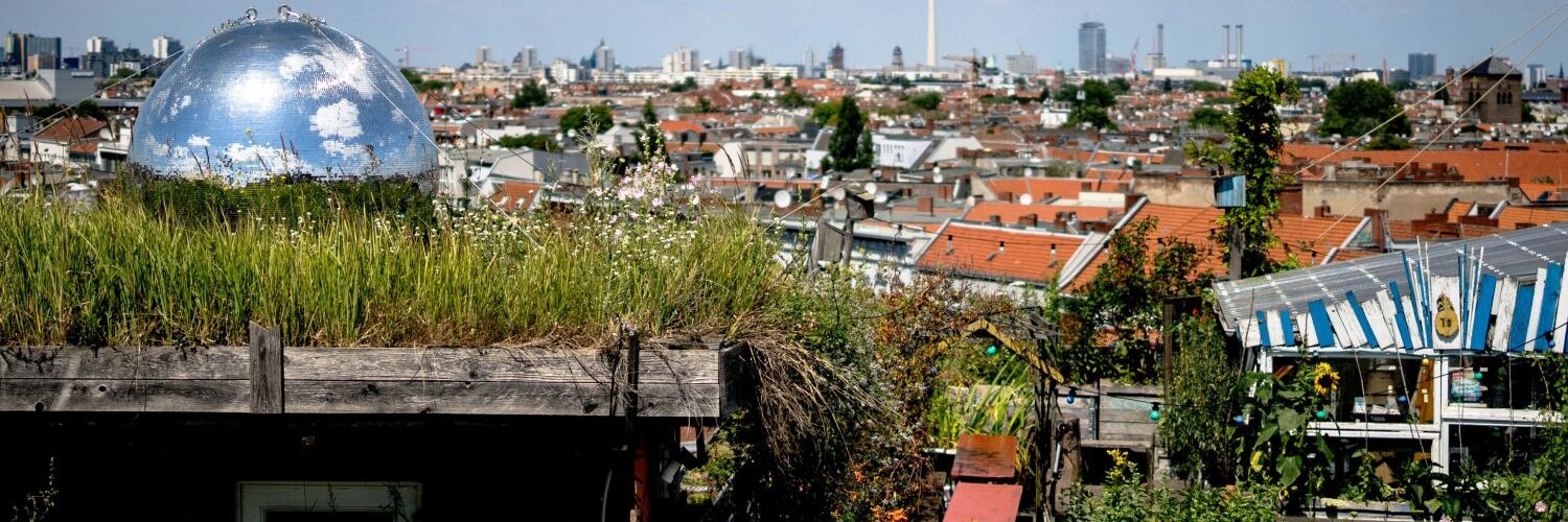 Klunkerkranich Ausblick