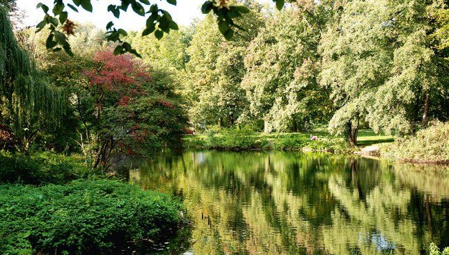 Tiergarten01