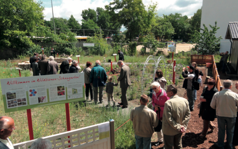 Feierliche Einweihung des Berlin summt!-Wildbienenschaugartens im Gartenzentrum des Verbandes der Gartenfreunde Berlin-Treptow (Bild: Stiftung für Mensch und Umwelt)