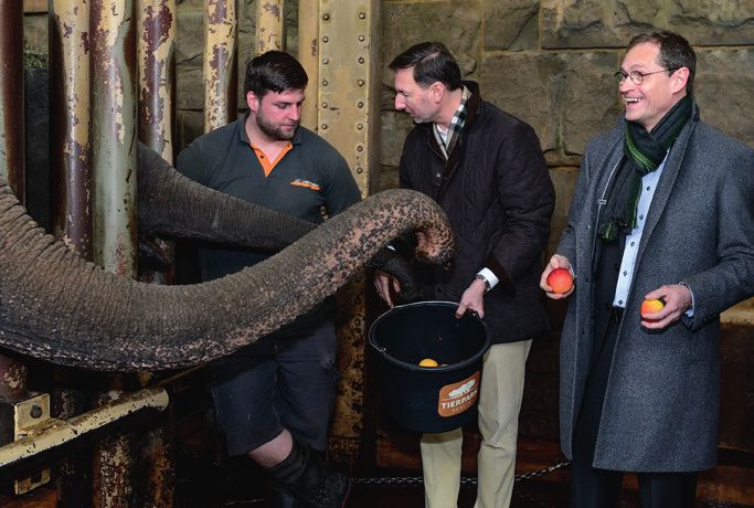 Der Regierende Bürgermeister im Tierpark Berlin beim Aktionstag „Berlin sagt Danke!“ (Bild: Tierpark Berlin)