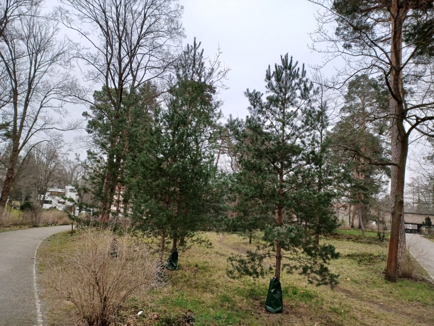 Der Messelpark.