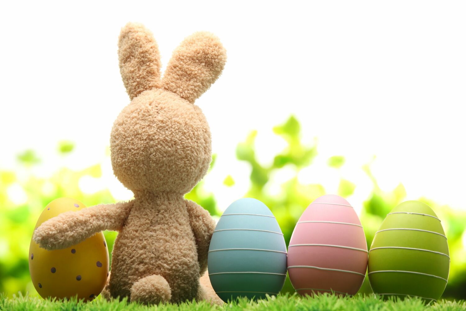 Osterhase mit bemalten Ostereiern.