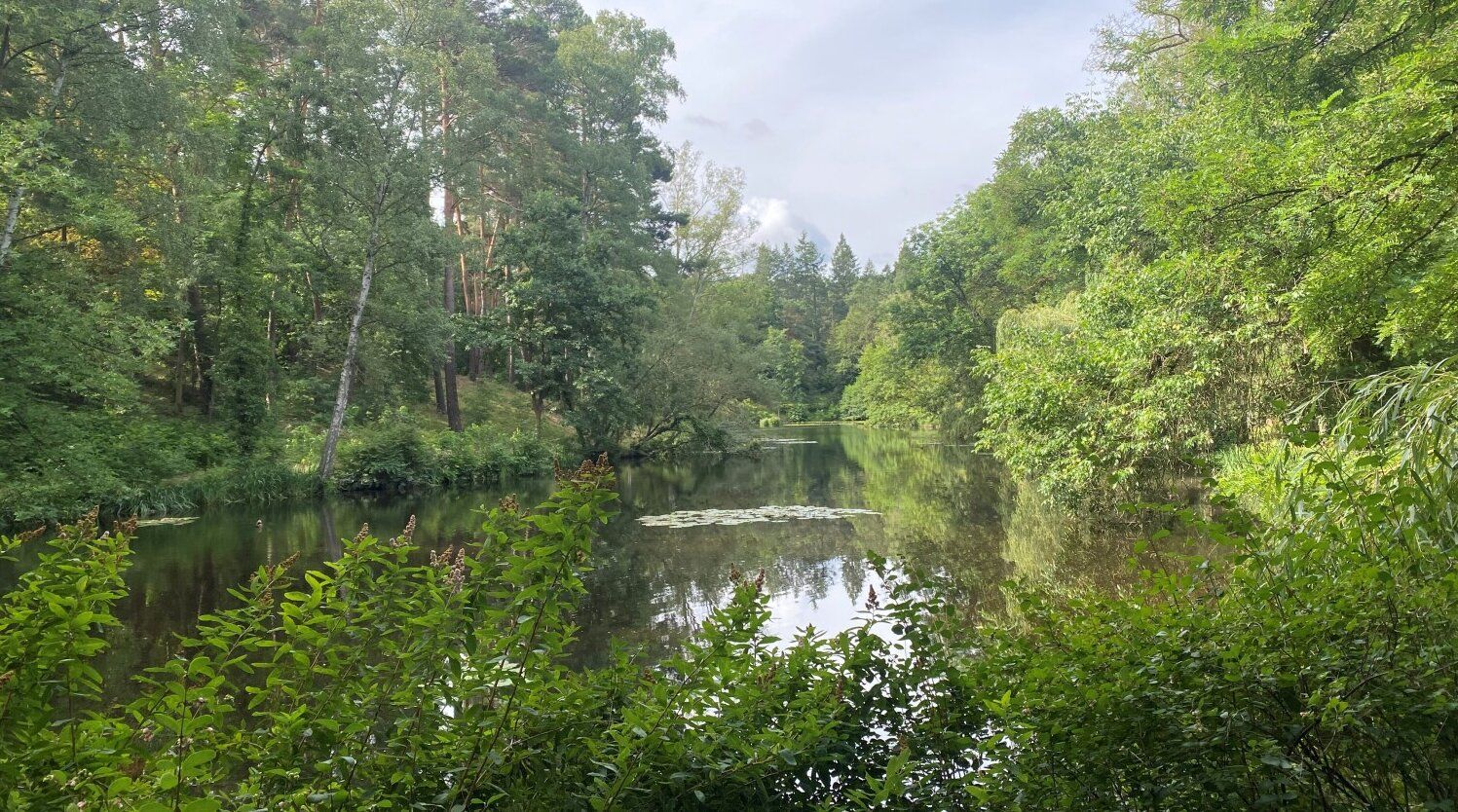 Der Sausuhlensee.