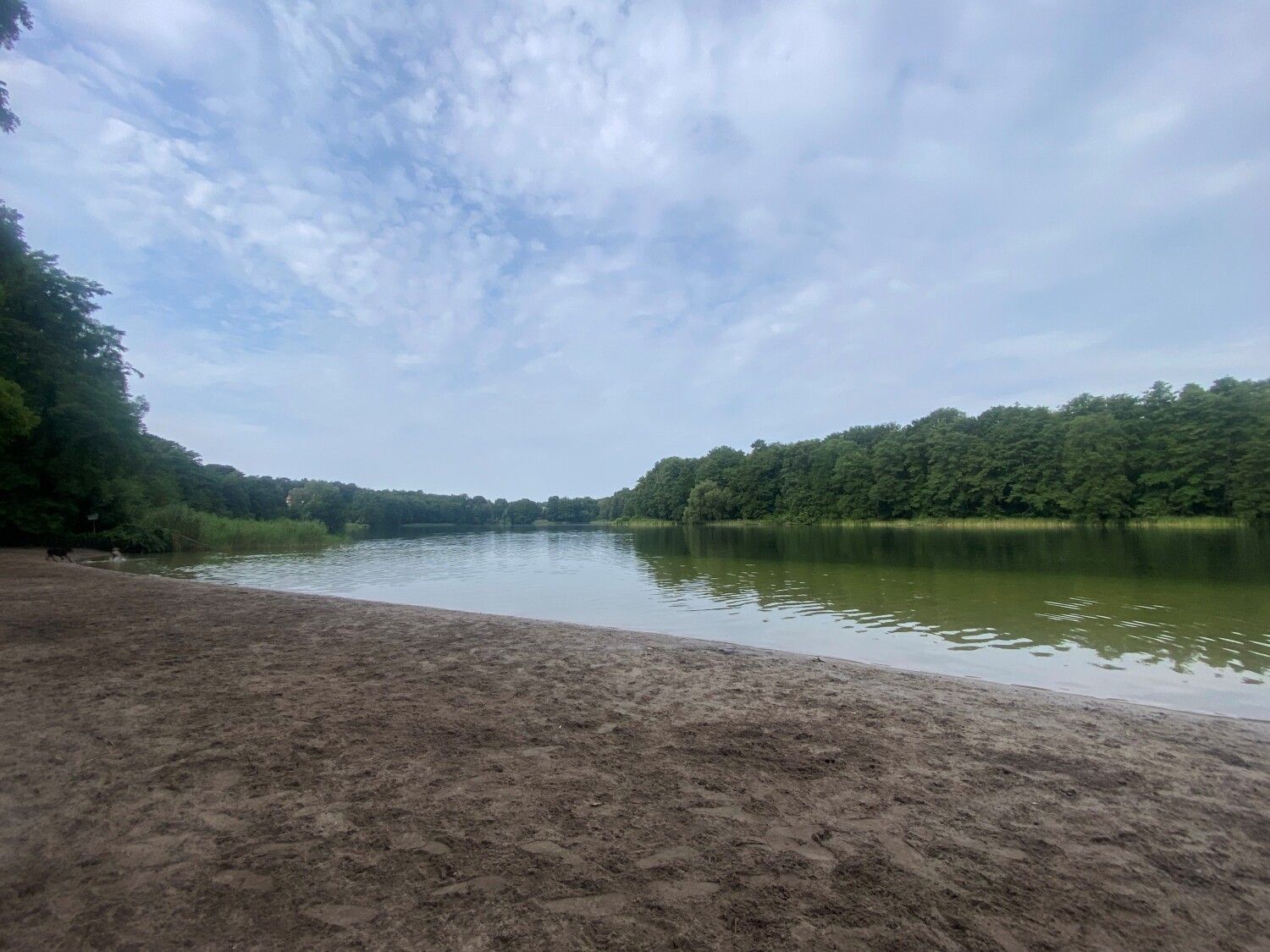 Grunewaldsee 2026