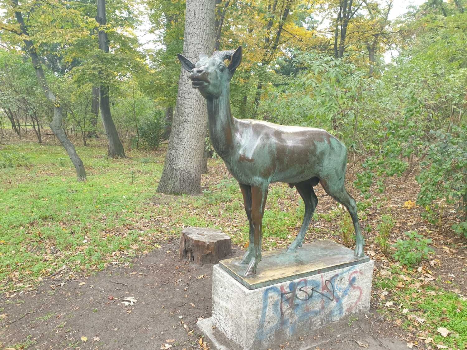Antilope