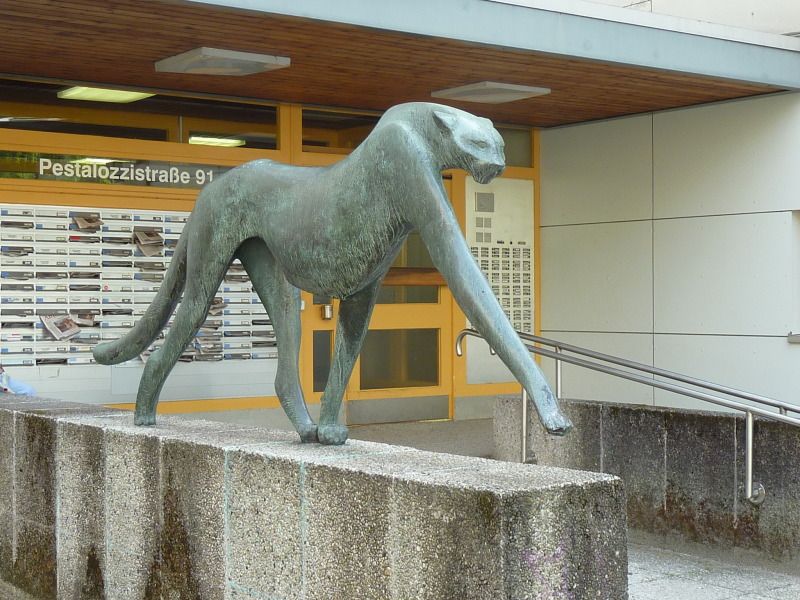 Gepard, 13.8.2010, Foto: KHMM (Bild: Bezirksamt)