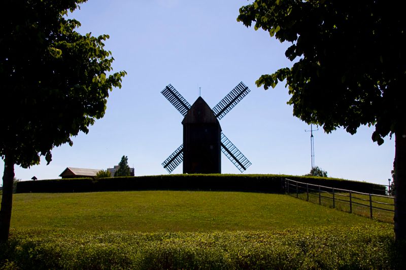 Die Bockwindmühle von hinten auf einem Hügel dazwischen mehrere Hecken und Bäume