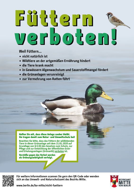 Informationschild zum Fütterungsverbot im Bezirk Mitte, das erklärt, warum Wildtiere in einigen Grünanlagen nicht gefüttert werden dürfen