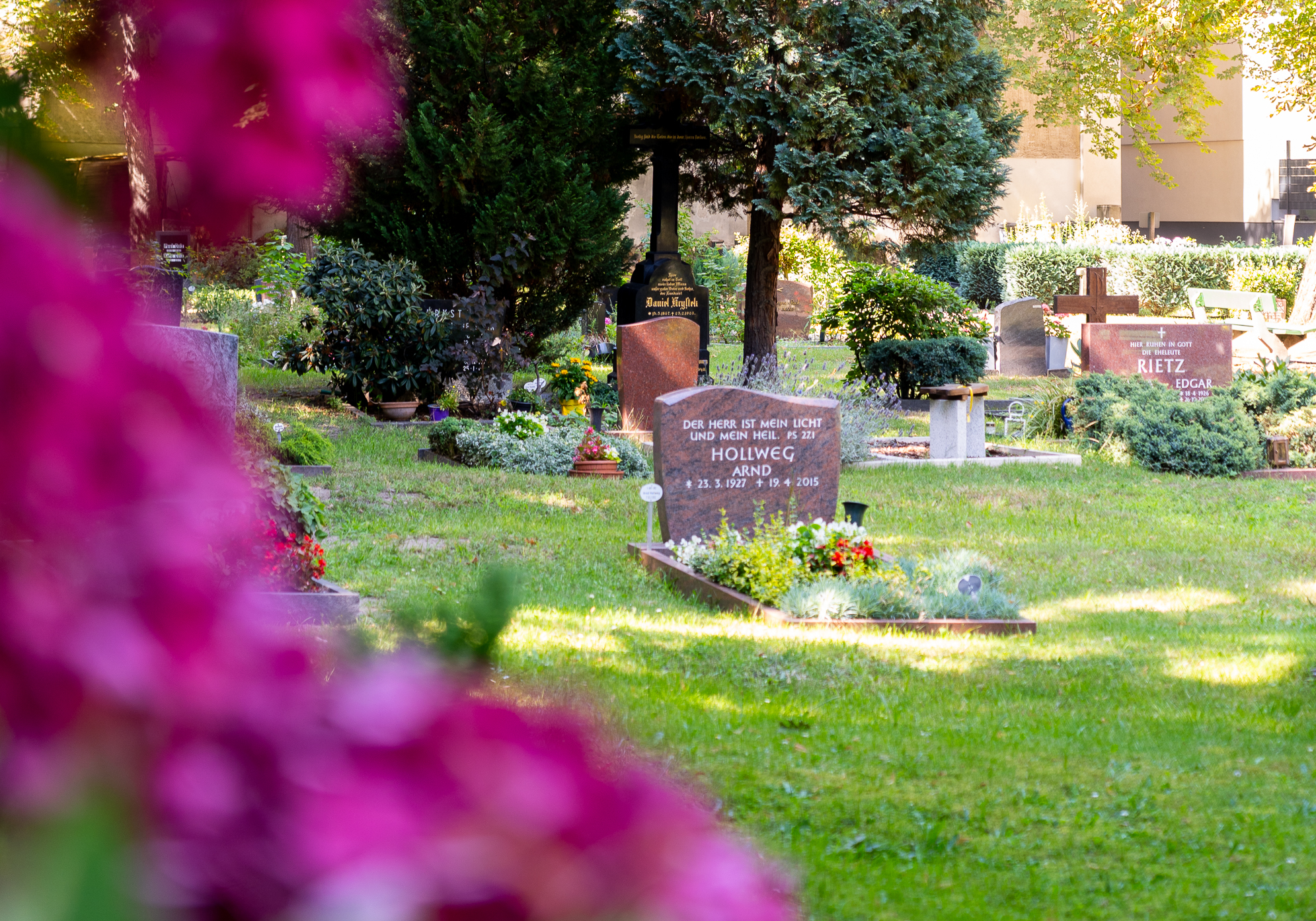 Friedhof mit Gräbern und Bäumen