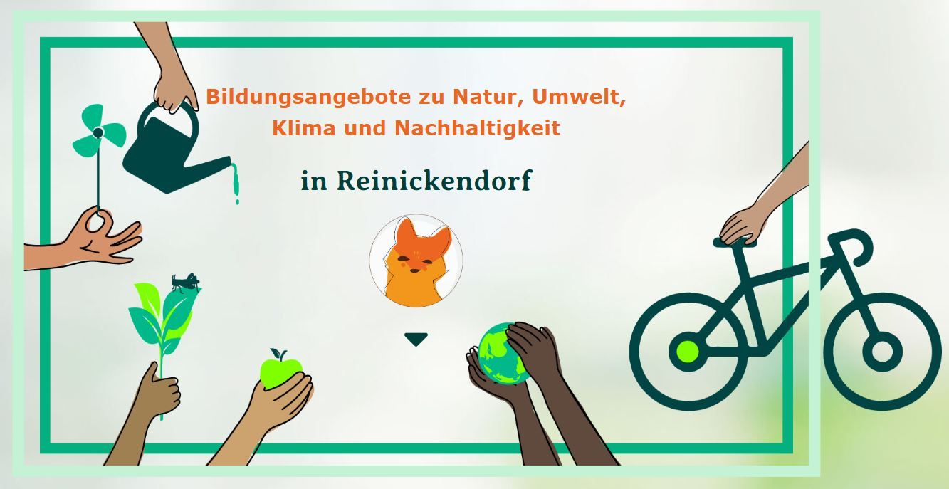 Internetseite Umweltbildung Reinickendorf