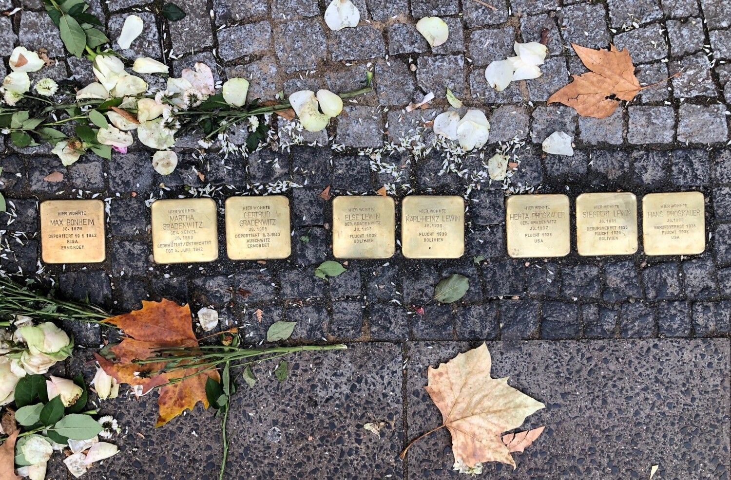 Stolpersteine im Herbstlaub