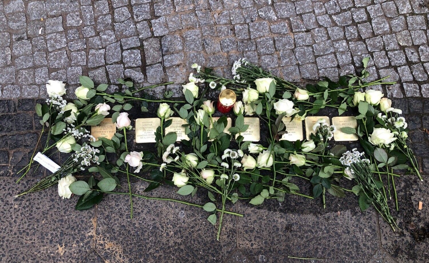 9. November 2025: Weiße Rosen bedecken die Stolpersteine zu Ehren der Familie Gradenwitz
