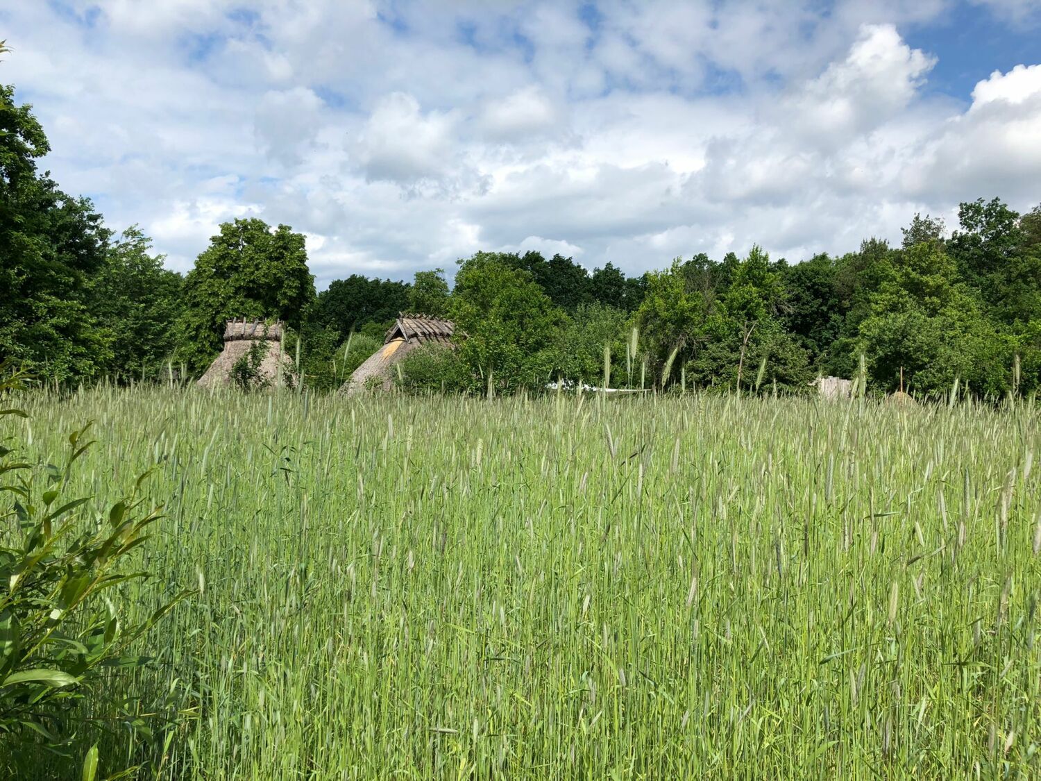 Grüne Oase: Museumsdorf Düppel