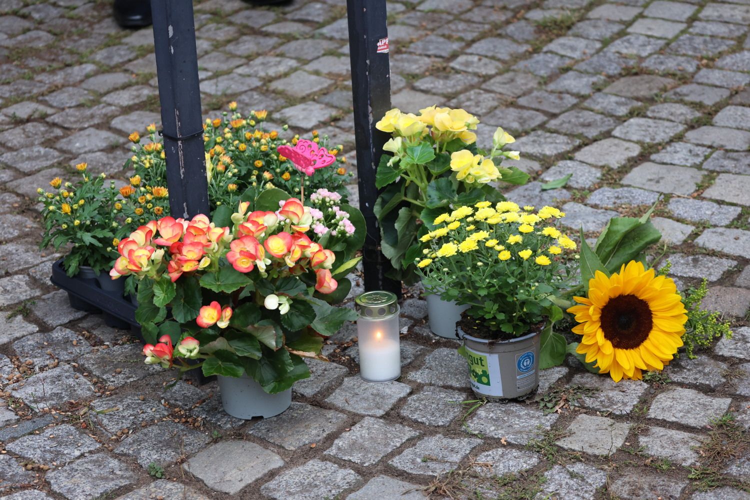 Blumen und Kerzen zum Gedenken an die Opfer des Krieges