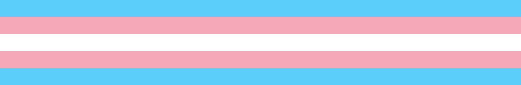 fünf waagerechte Streifen in den Farben Hellblau, Pink, Weiß, Pink und Hellblau