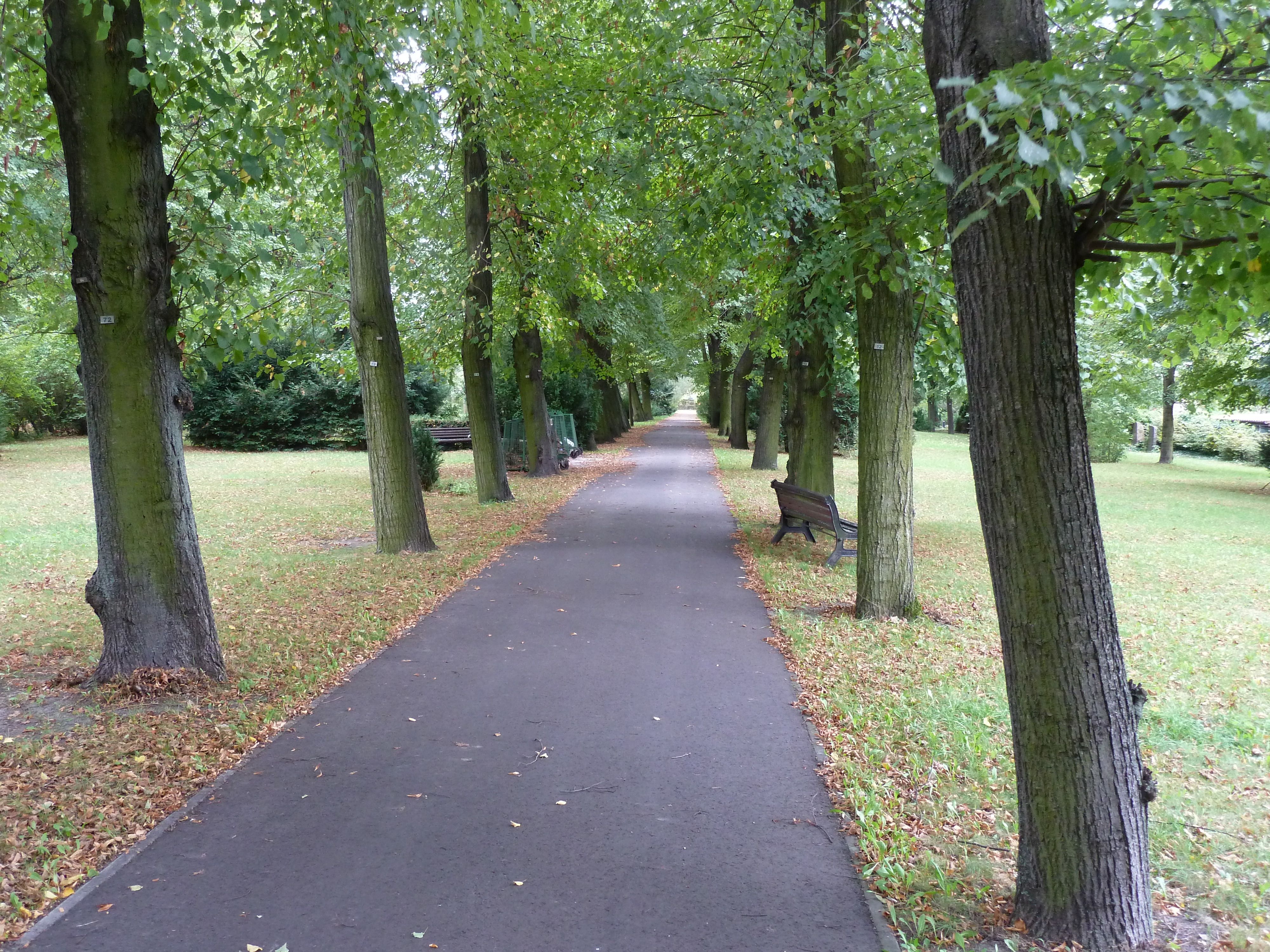 Friedhof Priesterweg