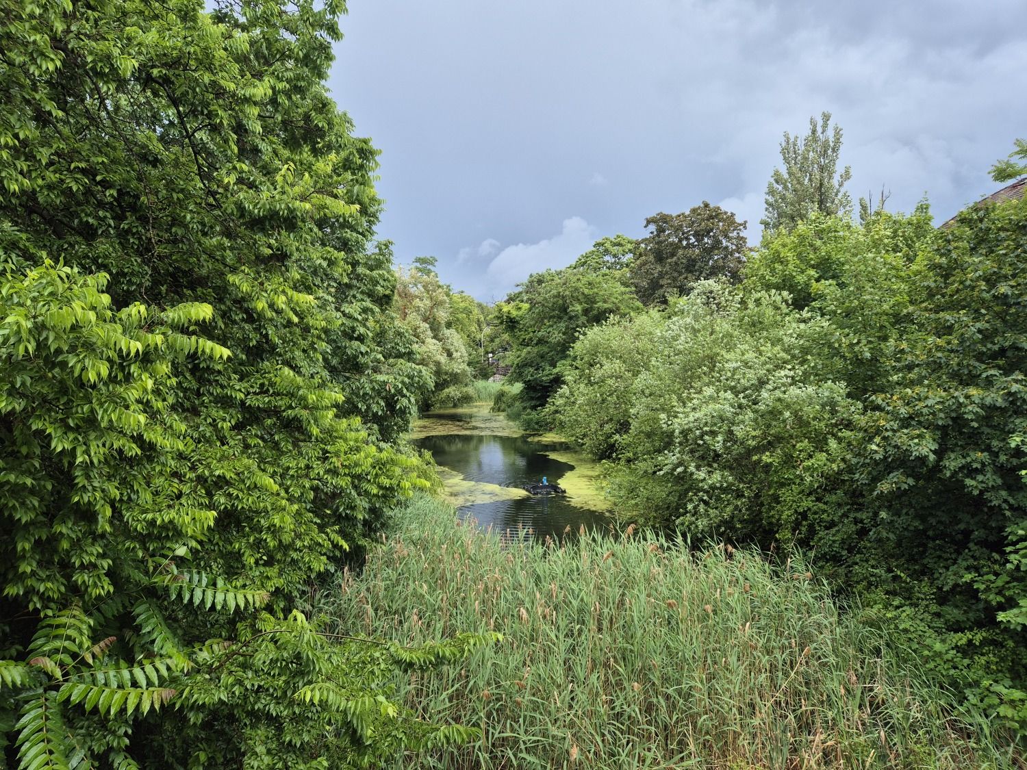 Kynastteich