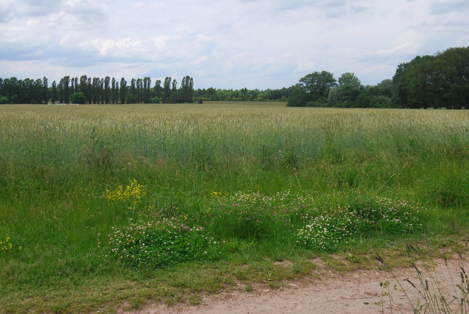 Landschaft
