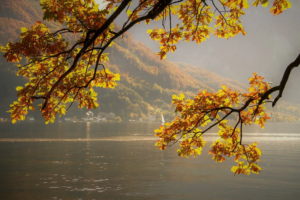 See im Herbst