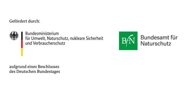 Logoleiste
