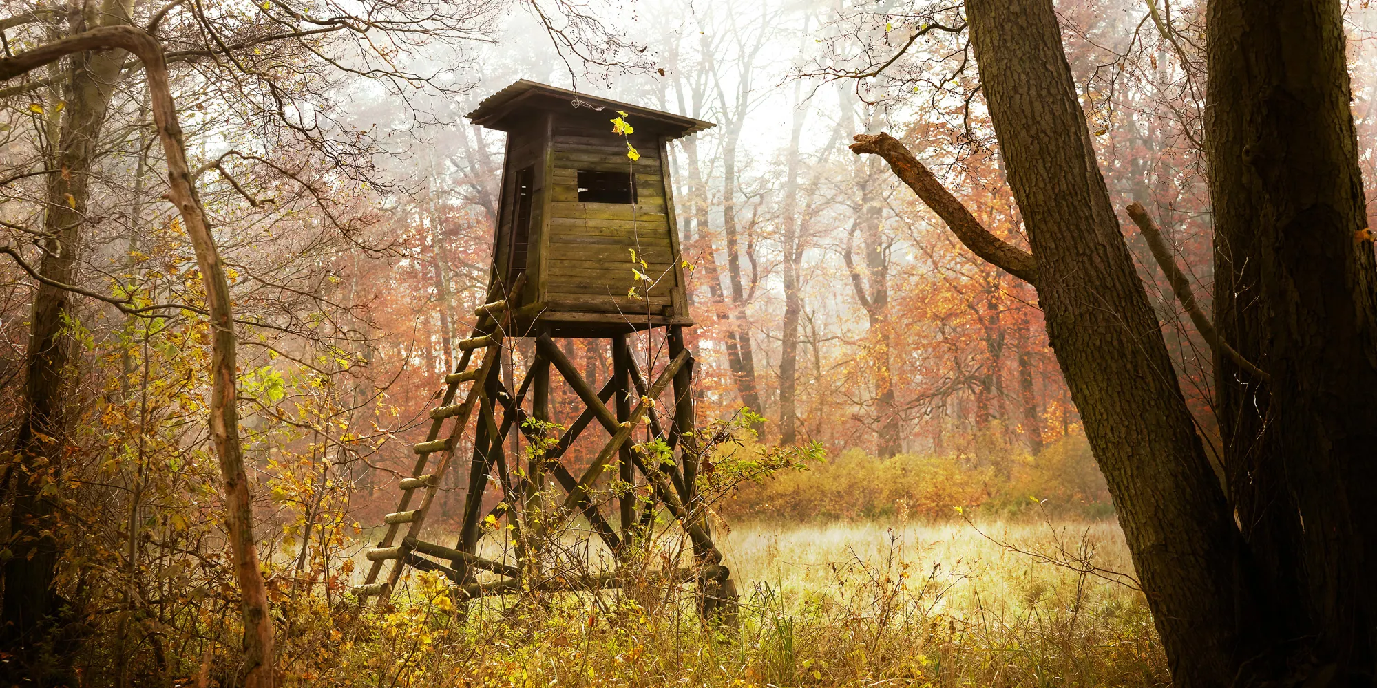Jagdkanzel im Wald bei Sonnenaufgang