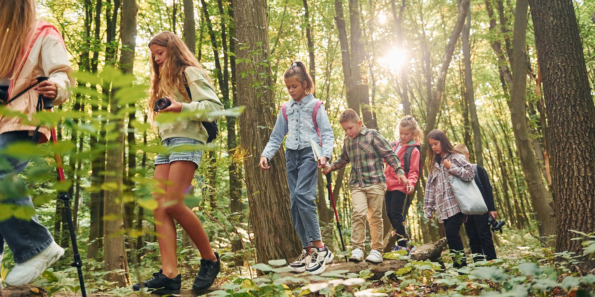 Gemeinsam gehen. Kinder im grünen Wald am Sommertag zusammen.