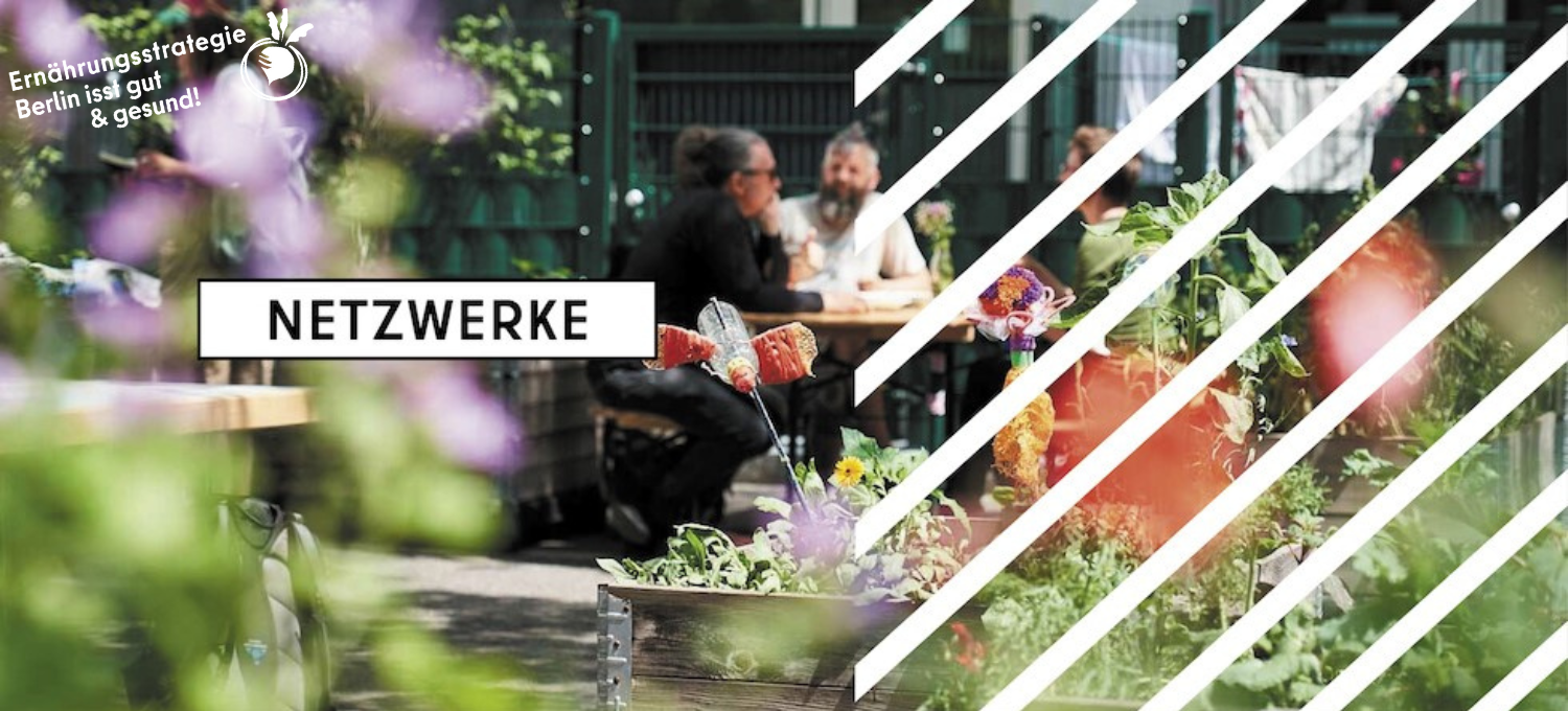 Netzwerke Sticker