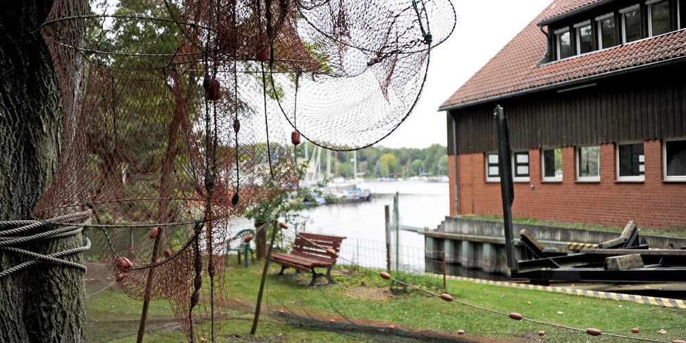 Reusen am Fischereiamt. Foto von Fischreusen, die zum Trocknen am Baum aufgehängt wurden. In Hintergrund sieht man das Dienstgebäude des Fischreriamtes und die Havel mit Segelbooten an einem Bootsanlegesteg