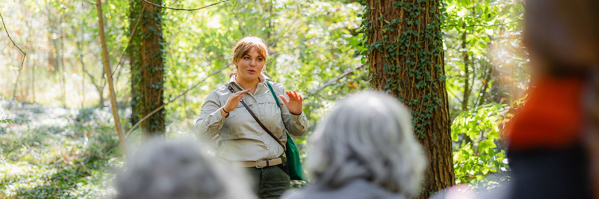 Deutsche Waldtage 2024: Wanderung im Revier Gatow