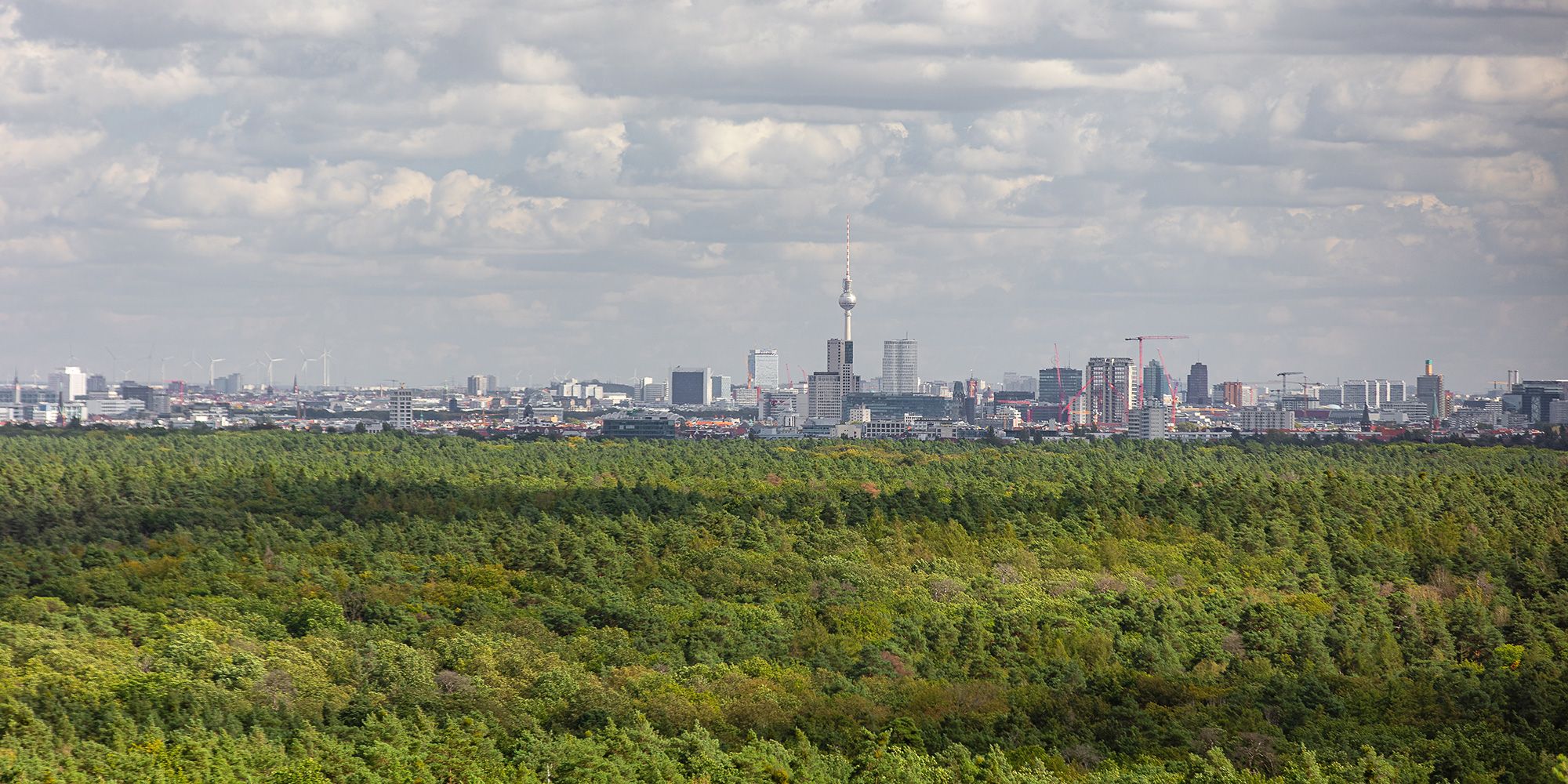 Blick vom Grunewaldturm über den Grunewald zum Zentrum