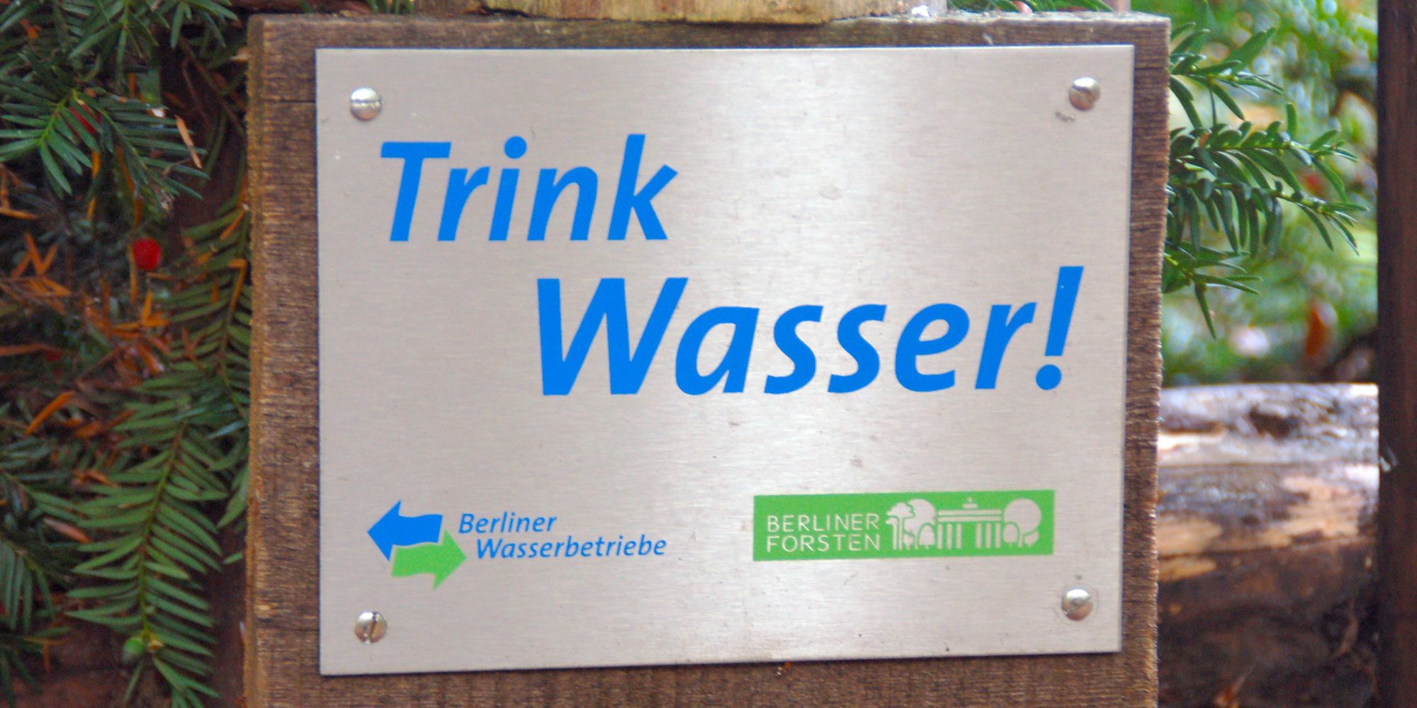 Der Berliner Wald liefert hochwertiges Trinkwasser