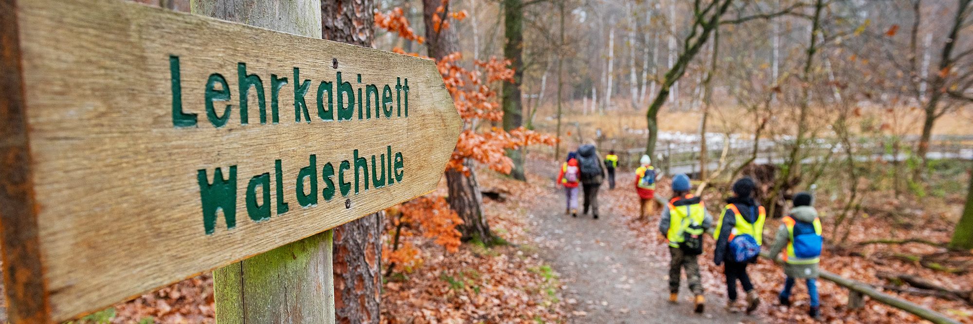 Kinder einer Lichtenberger Schule machen eine Waldexkursion in der Waldschule Teufelssee in Berlin-Müggelheim.