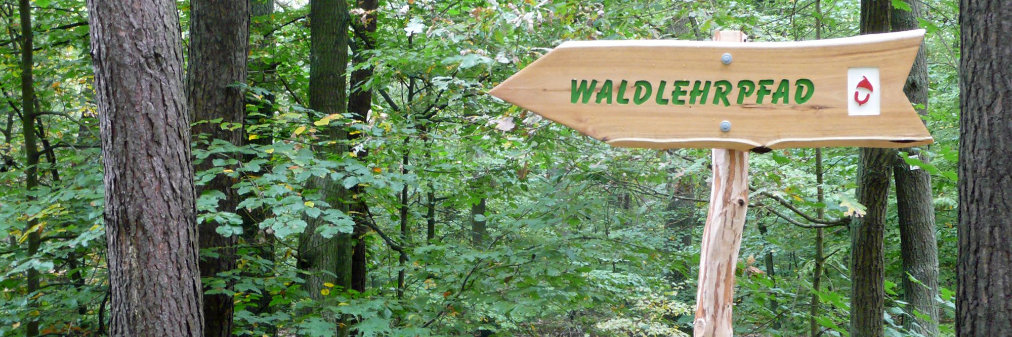 Wegweiser Waldlehrpfad